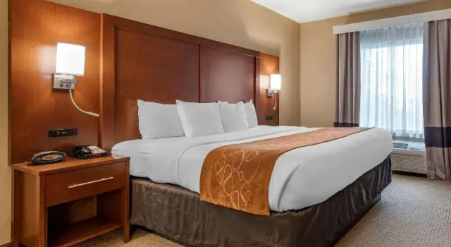 Номер Standard Comfort Suites Orlando Airport