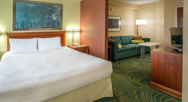 Двухместный люкс SpringHill Suites by Marriott Orlando North-Sanford