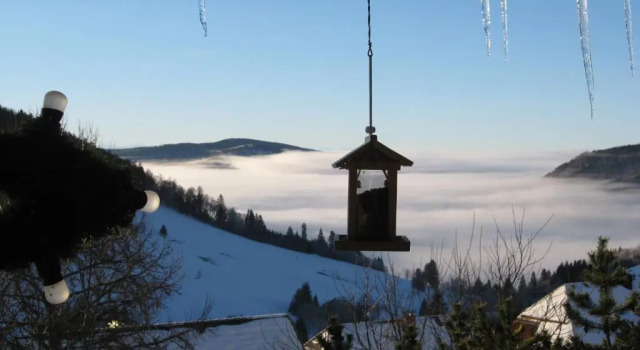 Студия Standard Schöne Aussicht
