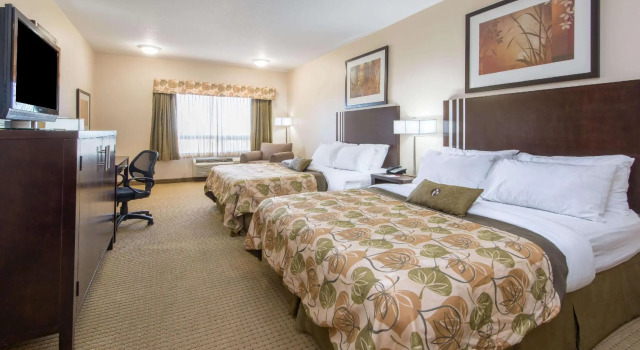 Camera quadrupla Standard Ramada by Wyndham Wainwright