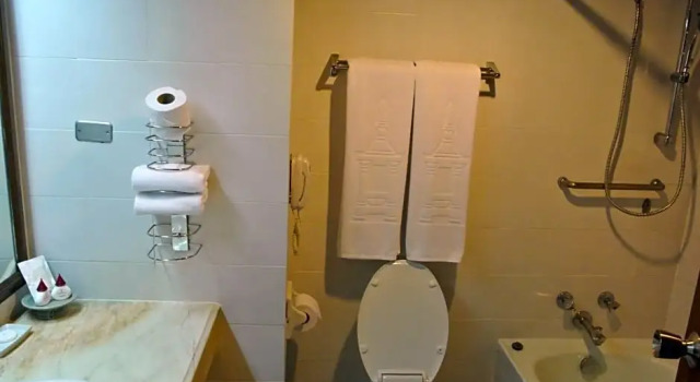 Двухместный номер Superior Chiang Mai Plaza Hotel