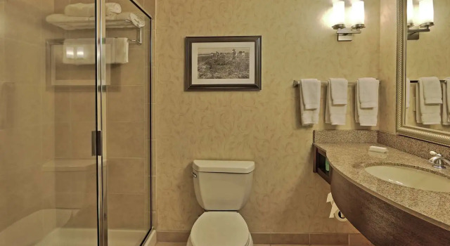 Двухместный полулюкс Hilton Garden Inn Las Cruces