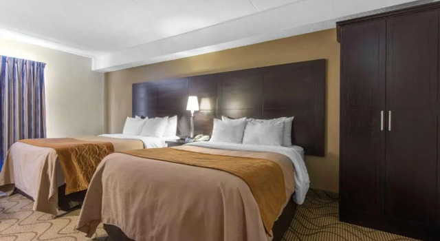 Номер Standard Comfort Inn