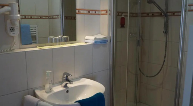 Семейный номер Standard Gasthof zur Traube