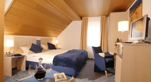 Двухместный номер Business Adler Hotel Garni