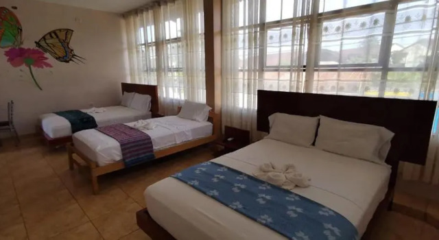 Номер Standard Amazon City