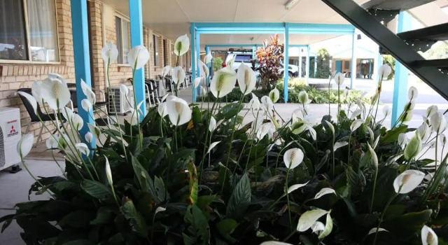 Номер Standard Kilcoy Gardens Motel