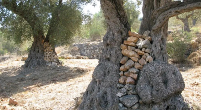 Коттедж с красивым видом из окна The Nest - A Romantic Vacation Home in Ein Kerem - Jerusalem