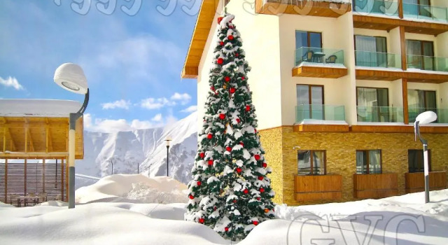 New Gudauri 312, Rezerwuj Hotel Hotele w Mtkheta-Mtianeti z basenem, Basen