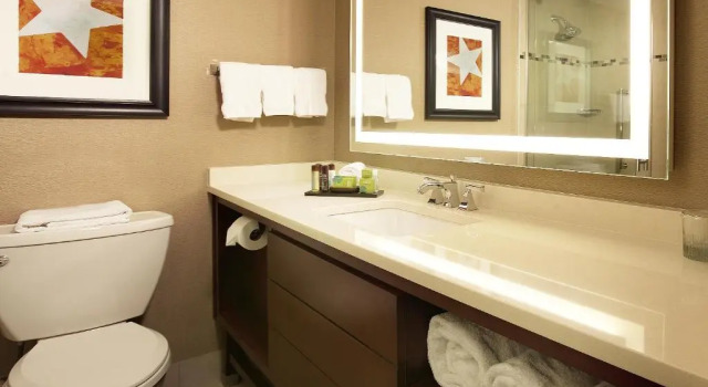 Двухместный люкс Accessible c 1 комнатой Отель Embassy Suites by Hilton Austin Downtown South Congress