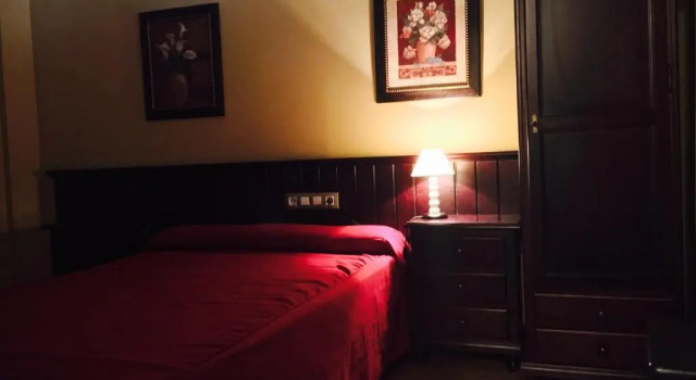 Одноместный номер Standard Hostal Pechi