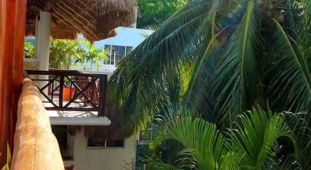 Selva y Mar Apart Hotel - 5Th Ave by BFH, Забронировать Отель Плая-дель-Кармен Кинтана-Роо, рядом с Пляжный клуб Mamitas