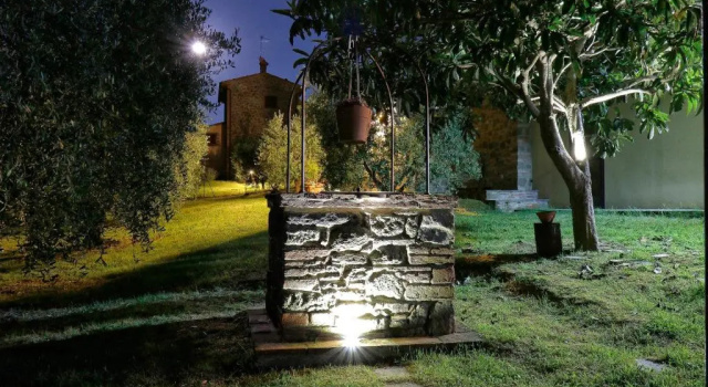 Selva degli Ulivi
