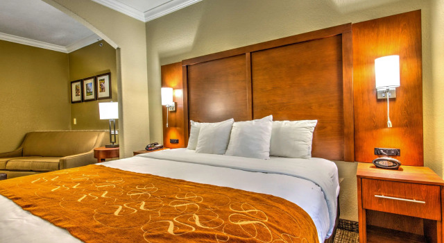 Двухместный люкс Comfort Suites Tomball Medical Center