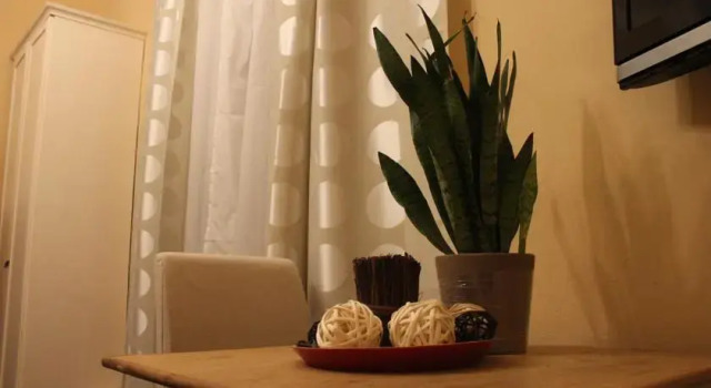 Suites Villa Tower, Book Villa Sommerhuse i Pisa, nær Camposanto Pisa, Hytte