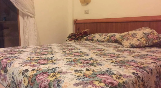 Hotel Viola