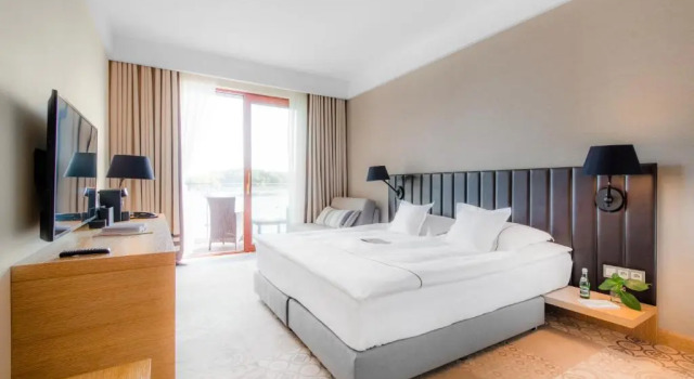 Номер Deluxe Tiffi Boutique Hotel