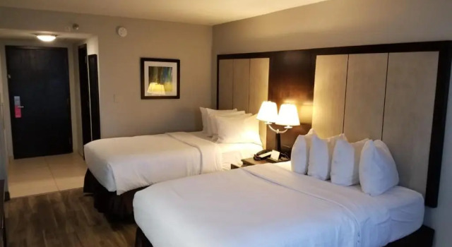 Четырёхместный номер Standard Wyndham Garden Hotel - Jacksonville