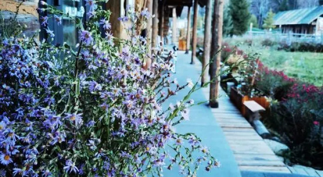 Cezanne Art hotel, Prenota Hotel Hotel a Xinjiang con parcheggio, Parcheggio