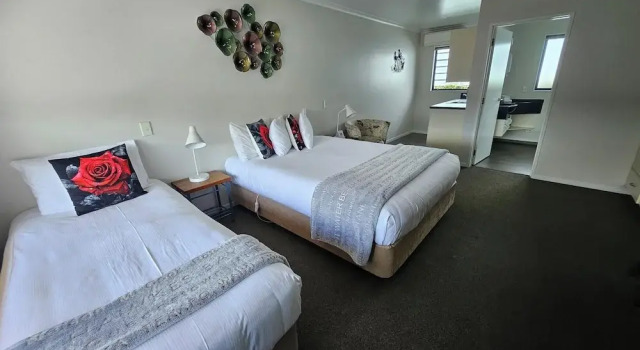 Студия Standard ASURE Albert Park Motor Lodge