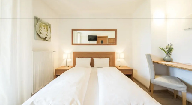 Двухместный номер Economy Boutique Hotel Zum Rosenbaum