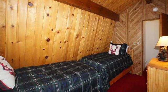 A Sleepy Bear's Hideaway