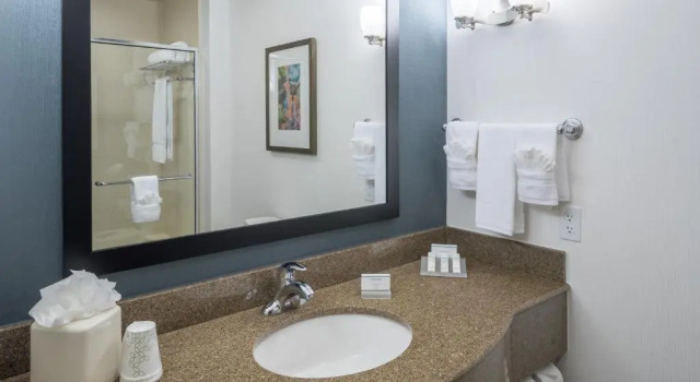 Четырёхместный номер Premium Hilton Garden Inn DFW North Grapevine