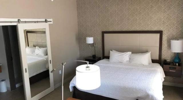 Двухместный номер Hampton Inn & Suites by Hilton Tampa Busch Gardens Area