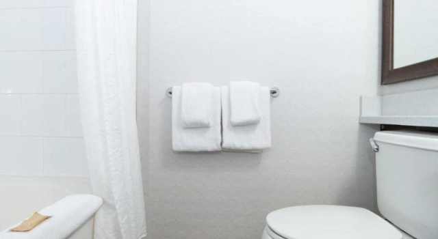 Люкс Sandman Hotel & Suites Calgary South