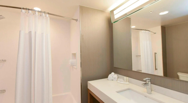 Четырёхместный номер Standard Courtyard by Marriott Houston City Place