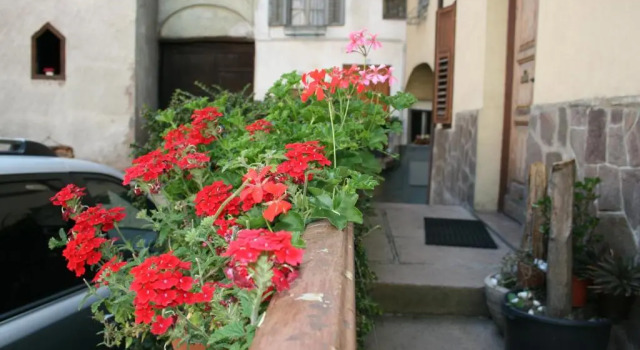 Апартаменты Casa Basilio