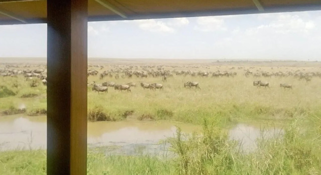Ngerende Island Lodge - Adults Only, Buchen Sie Ferienhaus Cottages in Masai Mara, Cottage
