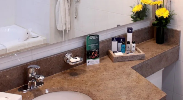 Двухместный номер Superior Hotel Estelar Suites Jones