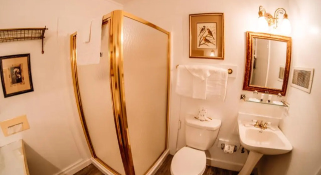 Одноместный номер Standard с видом на горы Narrow Gauge Inn