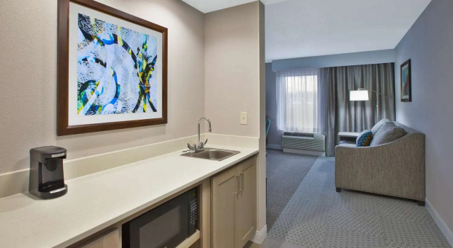 Номер Standard Hampton Inn & Suites Alliance