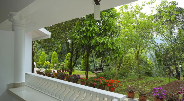 Номер Deluxe Dream Catcher Plantation Resort