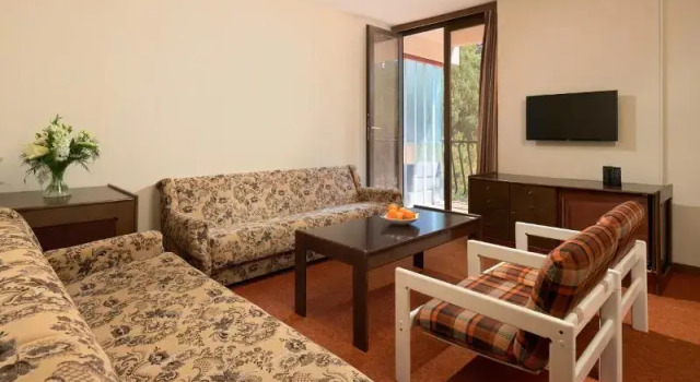 Семейный номер Standard с балконом и с видом на парк Arkada Hotel