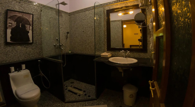 Одноместный номер Standard Hotel Pleasant Haveli
