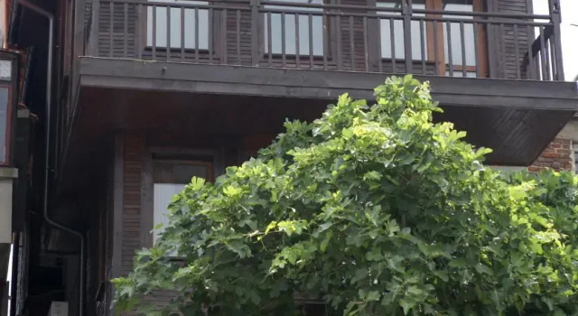 Guest House Fotini 2, Забронировать Гостевой дом Гостевые дома области Бургас, Гостевой дом