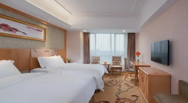 Двухместный номер Standard Vienna Hotel Longchuan