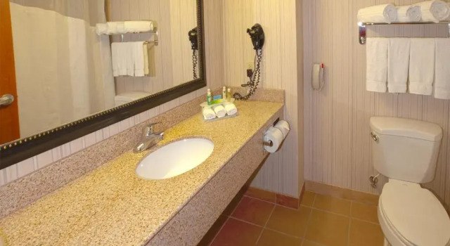 Четырёхместный номер Standard Holiday Inn Express & Suites Nampa - Idaho Center by IHG