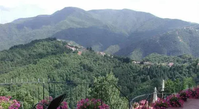 Rustico Sara