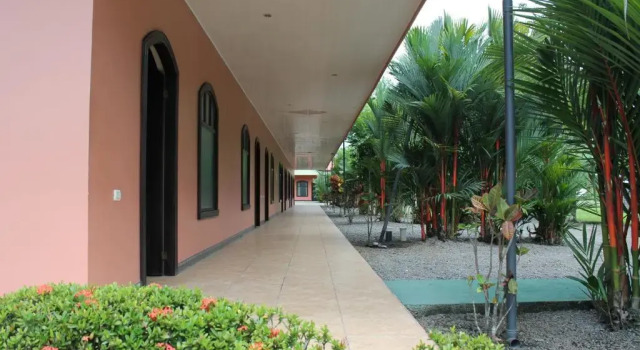 Номер Economy Hotel Vista al Tortuguero