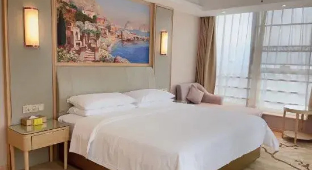 Люкс Deluxe Vienna Hotel Wu'anPlaza store