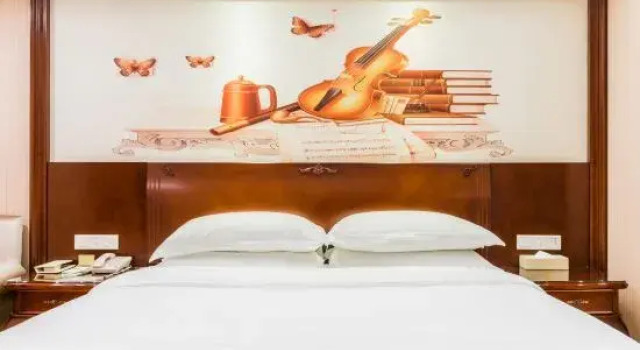 Люкс Deluxe Vienna Hotel (Gaozhou Chengdong Passenger Station)