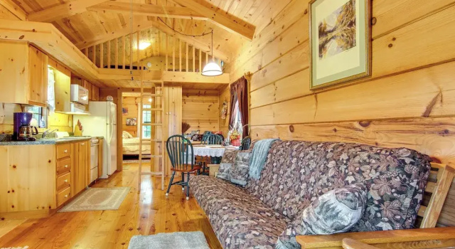 Hendersonville Cabin Near Hiking & Waterfalls!, Varaa Lomakoti Penrose Pohjois-Carolina