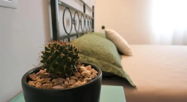 Двухместный номер Deluxe Masseria Petra