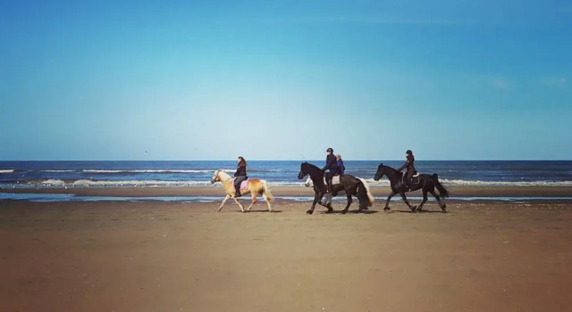 Апартаменты Apartment in Noordwijk near Beach