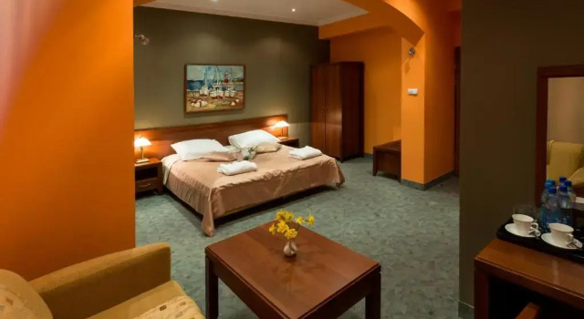 Номер Deluxe Kompleks Hotelowy Logos