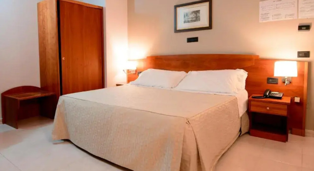 Двухместный номер Standard Hotel dei Platani